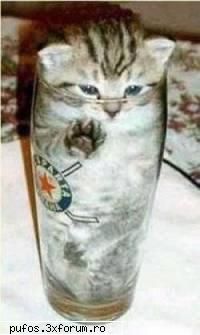 cel mai scarbos coktail !! coktail