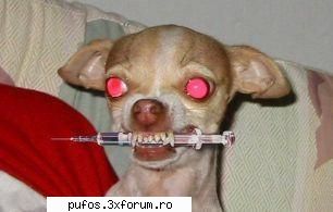 Funn stuff - nice cutzu cutzu... :) il puteti avea la un pret - Funn stuff....