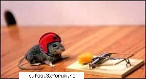 de lansare !! parashute !!